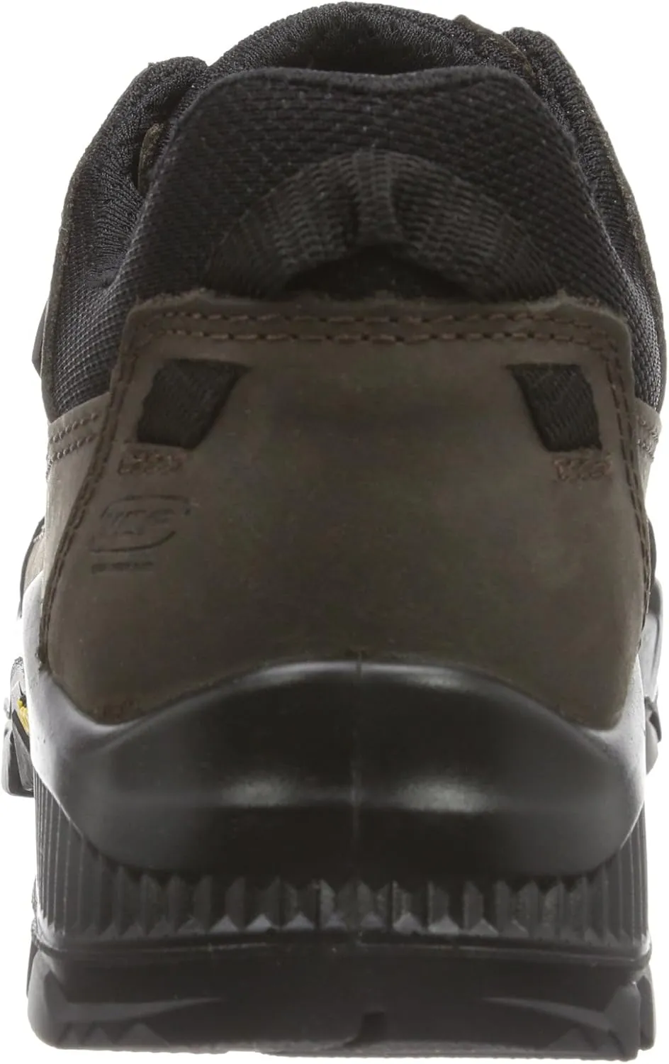 Alpina Men's Trekking and Hiking Shoes
