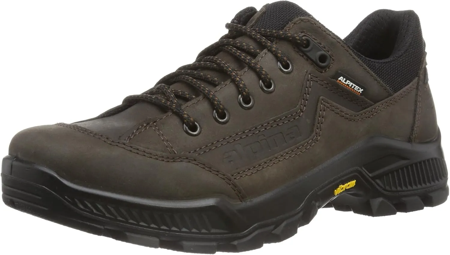 Alpina Men's Trekking and Hiking Shoes